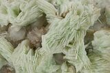 Green, Bladed Prehnite Crystals with Quartz - Morocco #292260-1